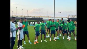 AFCON: Peseiro’s Super Eagles team backed for title