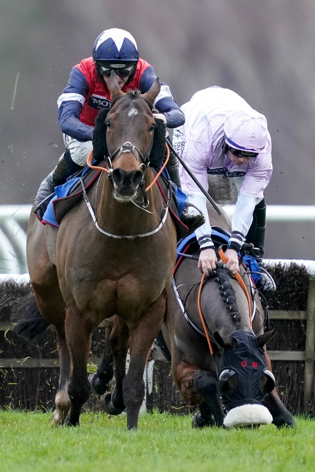 Calamity at Leicester races as punters say ‘I feel sick’ after witnessing gut-wrenching finish