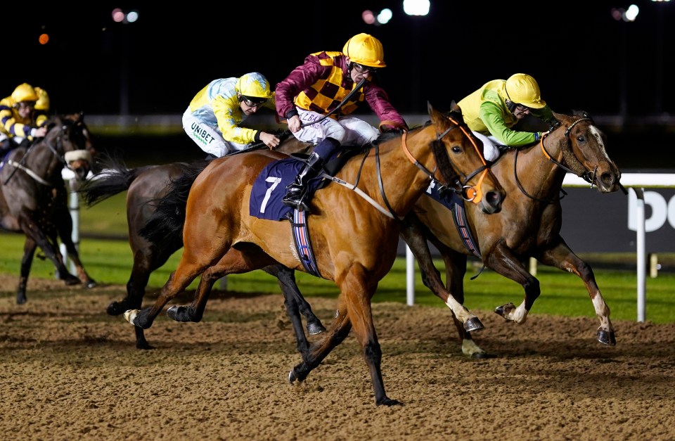 Punter wins £47,000 despite losing bet after ‘miraculous’ series of events at Wolverhampton