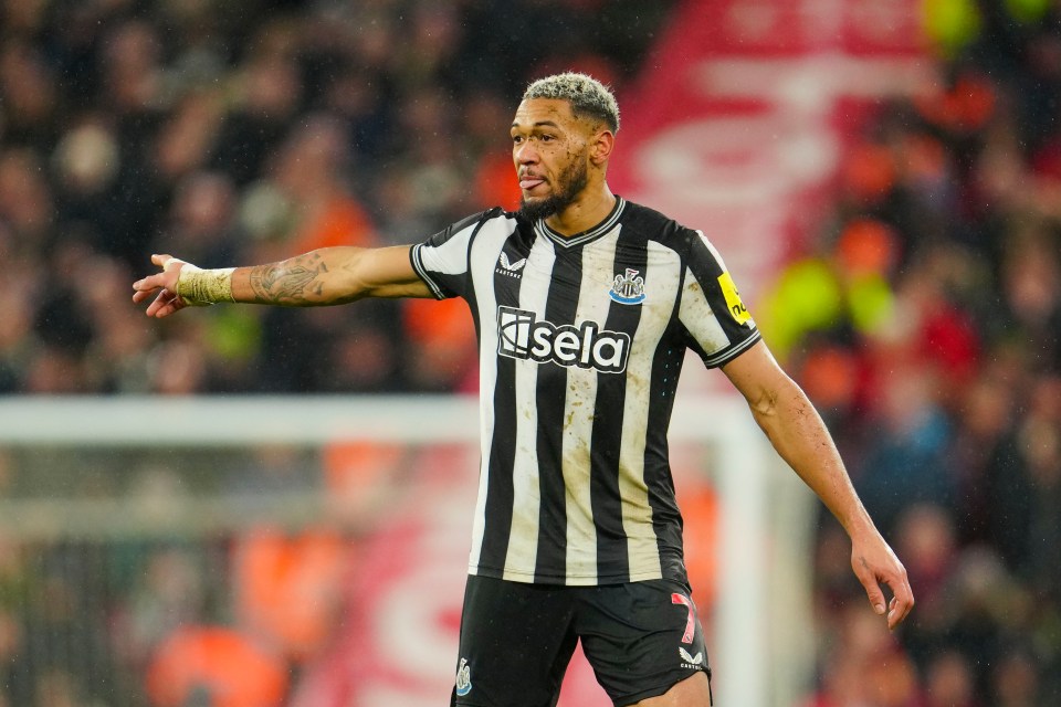 Newcastle risk being FORCED to sell Joelinton and Brazilian may never play for Toon again