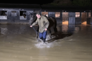 Champion trainer Paul Nicholls rescues horses ‘literally floating’ in flash flood at yard