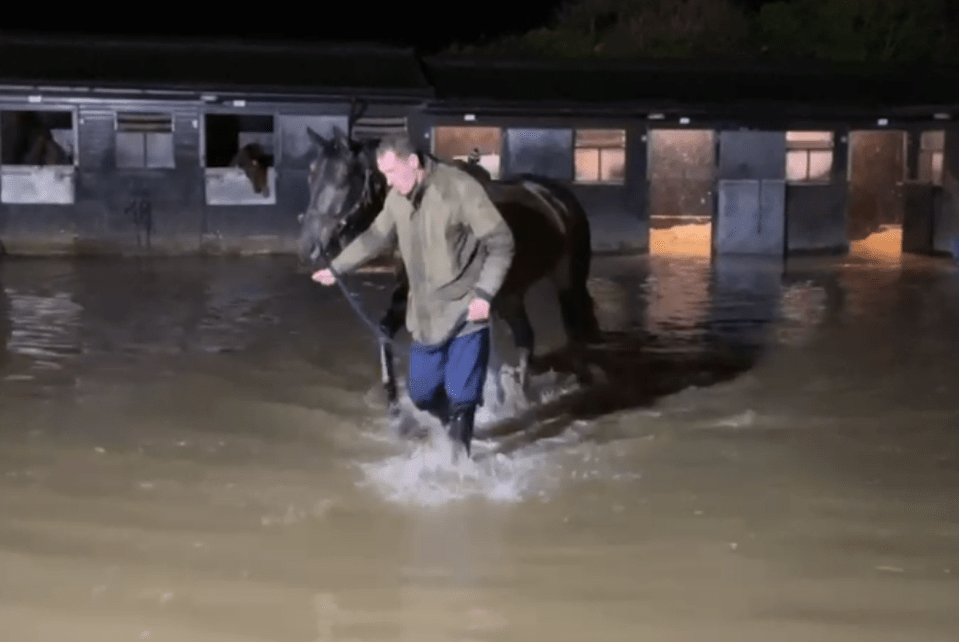 Champion trainer Paul Nicholls rescues horses ‘literally floating’ in flash flood at yard