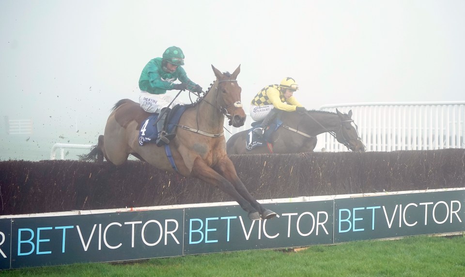 Racecourse offers free entry after awesome card including Willie Mullins superstars is abandoned