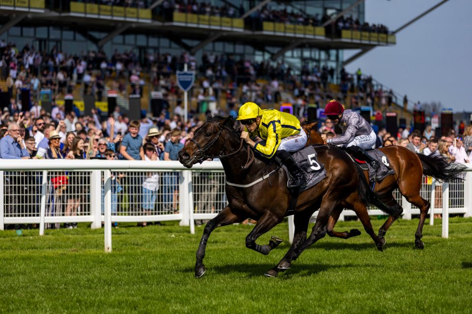 End of an era as iconic British racecourse to be shown on new channel in 2024