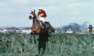 Huge collection of hair from racehorses including Red Rum goes on sale for eye-watering price