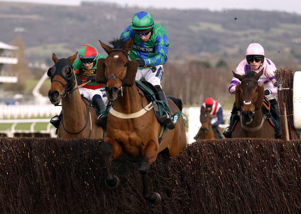 Trainer Jamie Snowden confirms shock Ryanair plan for Cheltenham specialist ‘in form of his life’