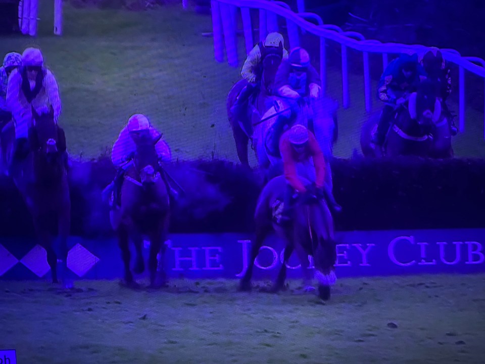 Awful moment jockey Richie McLernon gets trapped under horse Conkwell Legend after ‘brutal’ fall at Exeter