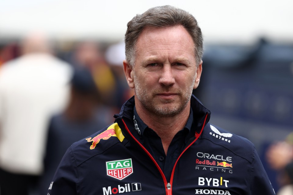 F1 boss Christian Horner faces D-Day grilling by lawyer amid claims of ‘vicious power struggle’