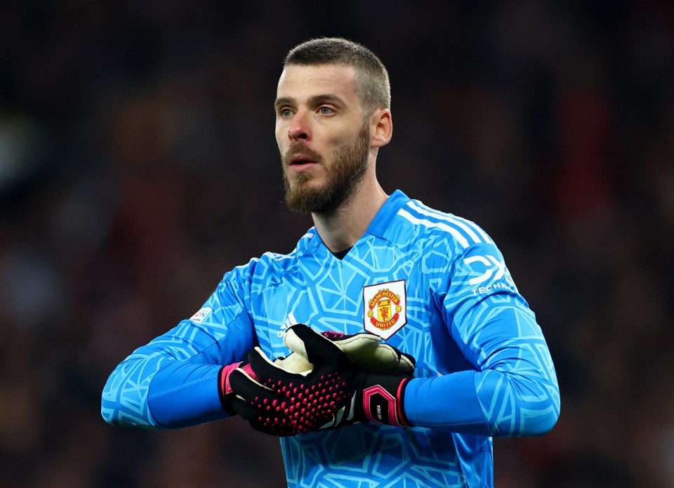 David de Gea ‘DECLINED’ stunning Premier League transfer return despite guaranteed minutes for Man Utd legend