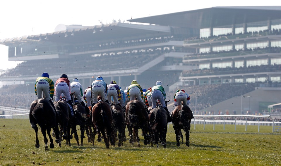 Types of horse races over the jumps and on the Flat