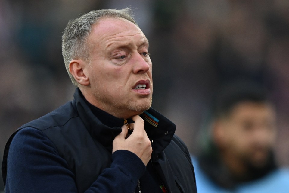 Crystal Palace keen on Steve Cooper and ex-Champions League boss with Southgate an outside bet as Hodgson decision made