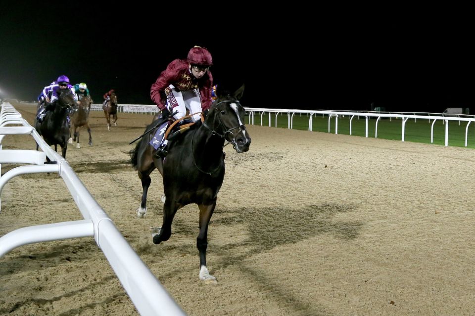 ‘Unsafe’ Newcastle horse race postponed after bosses realise it will be run in the dark