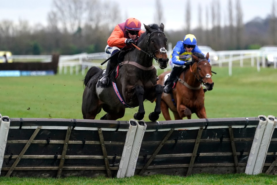 Harry Fry likely to make a late decision on exciting hurdler Gidleigh Park’s Cheltenham Festival target