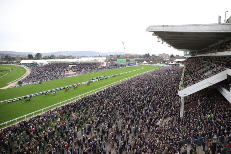 Cheltenham Festival free bets and sign up deals 2024 Best new customer