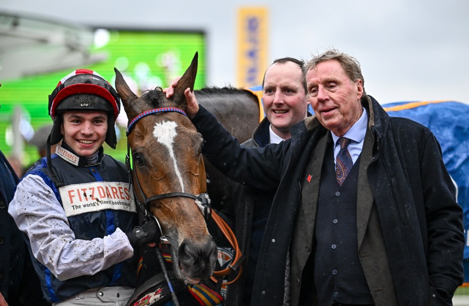 Harry Redknapp heartbreak as Grand National rule change ruins dream of winning £500,000 with ‘incredible’ horse