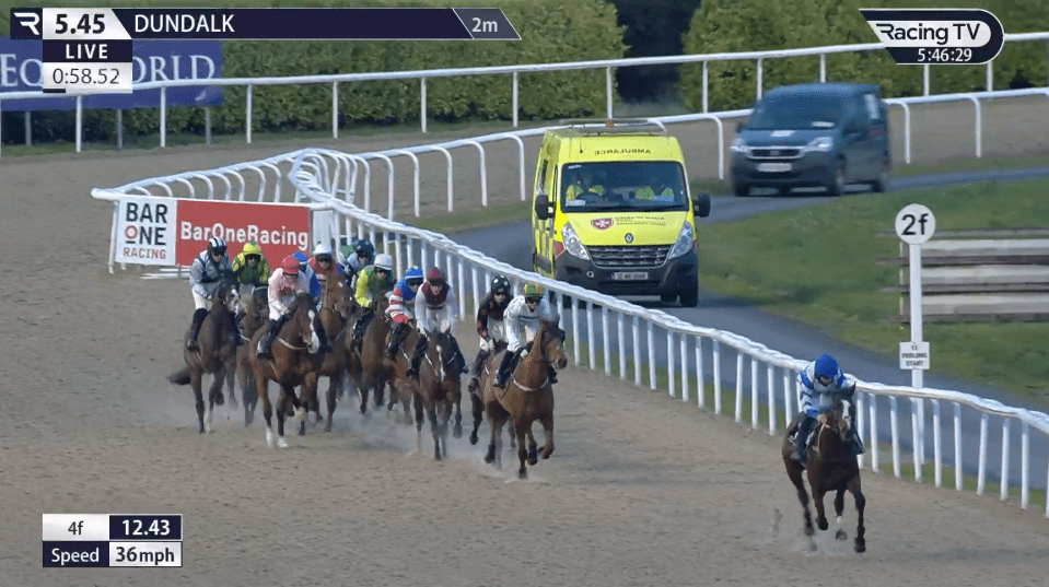 TWELVE jockeys and a horse banned after ‘truly shocking’ race at Dundalk