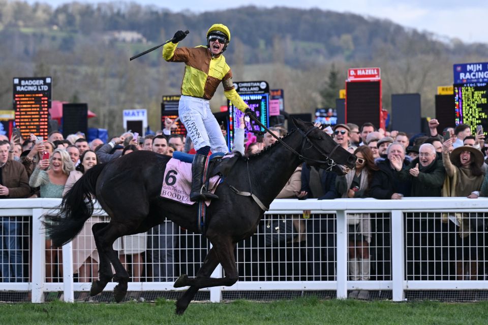 Cheltenham Festival 2024 complete guide how to find a winner plus all