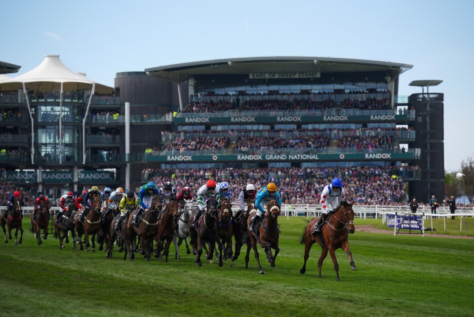 Grand National shake-up with two new favourites and six horses scratched from £1million race