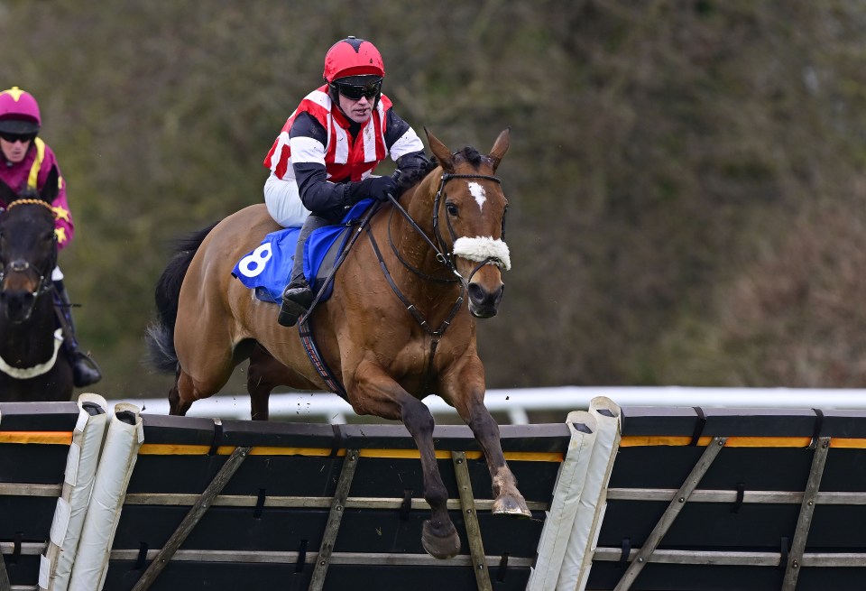 How to watch 4.50 Grand Annual Steeple Chase Challenge Cup at