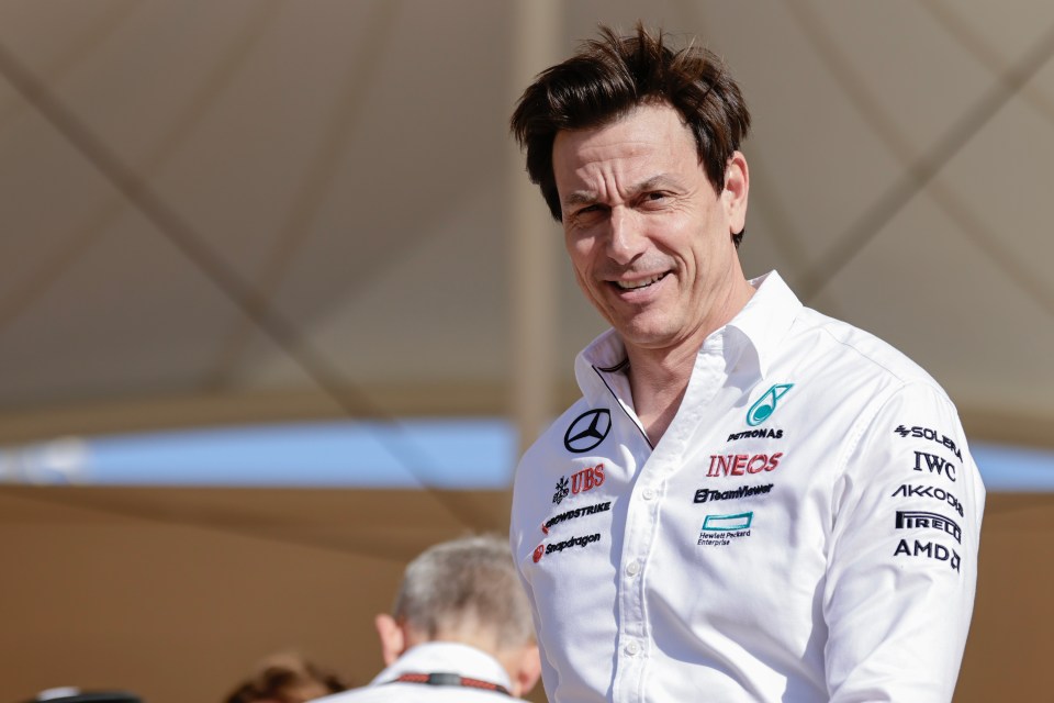 Cheeky Toto Wolff offers Marko Helmut a job amid fears he could be forced out of Red Bull after Christian Horner scandal