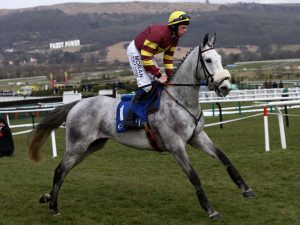 What grey horses are running in the Grand National 2024 and when was the last time a grey horse won?