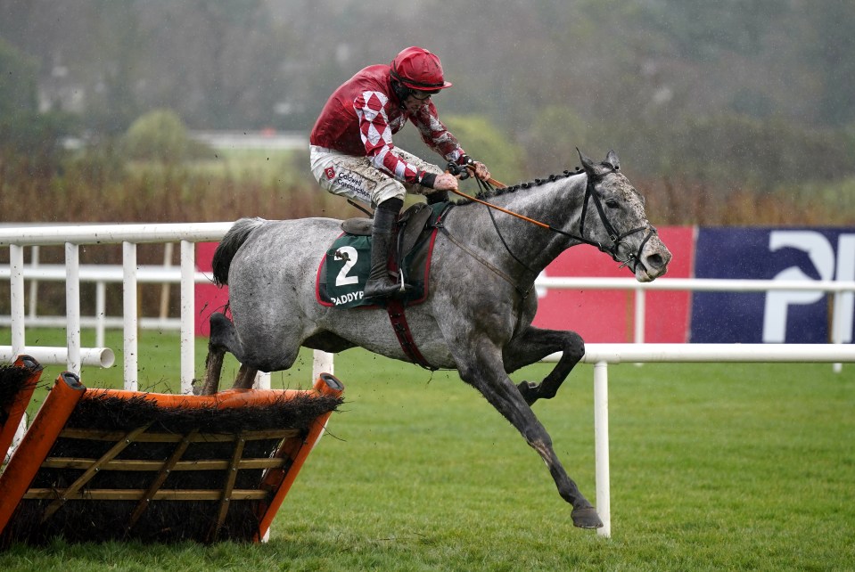 Sir Alex Ferguson’s record-breaking horse pulled out of running on Grand National day