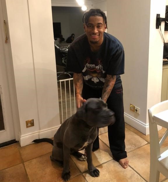 Arsenal’s Reiss Nelson sued after his Italian mastiff ‘attacked sports masseur’ as they posed for selfie