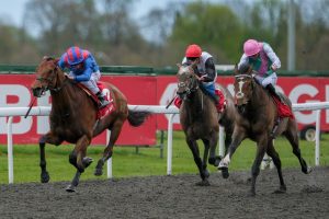 Templegate’s Kempton Tote Placepot tips for Saturday with £100,000 guaranteed PLUS £30 in free bets