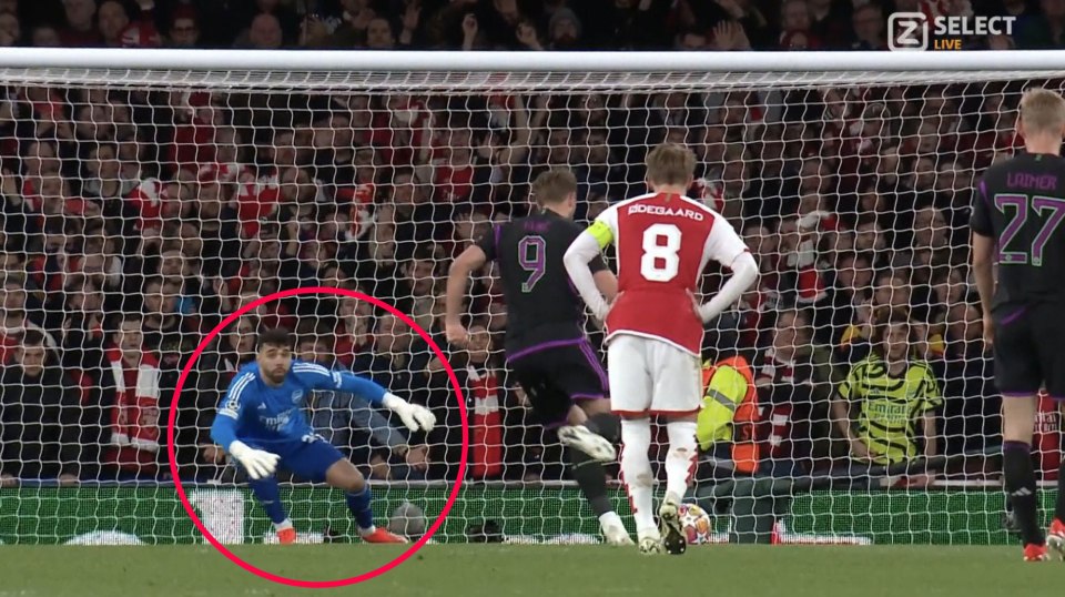 ‘Is this guy even a goalkeeper?’ asks Van der Vaart after spotting Raya penalty blunder in Arsenal’s clash with Bayern