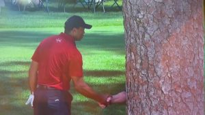 Tiger Woods gives fans ‘all time favourite Masters moment’ by ‘shaking hands with a tree’ on Augusta course