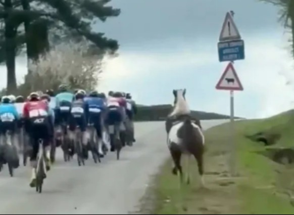 Watch shock moment HORSE charges into cycling race before quick-thinking rider saves the day