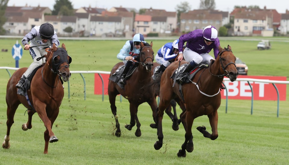 Who won the Scottish Grand National 2024? Full results, fallers and