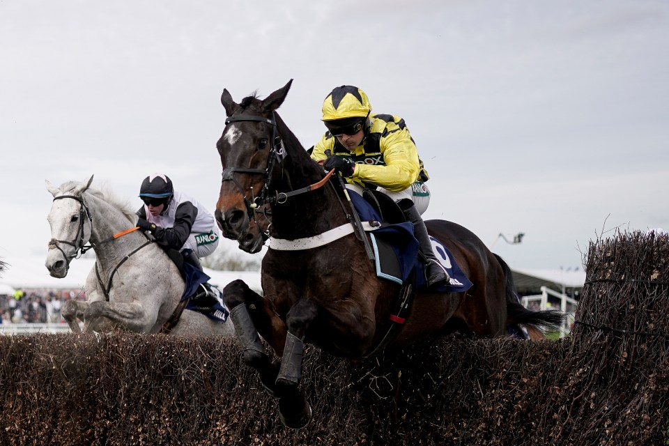 Legendary racehorse Shishkin dies suddenly aged ten as devastated Nicky Henderson pays tribute to ‘our star’