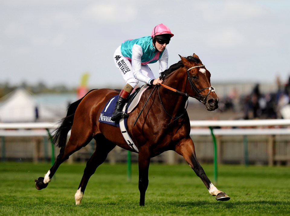 City Of Troy ridiculously short to win the Triple Crown as ‘best since Frankel’ limbers up for 2000 Guineas rout