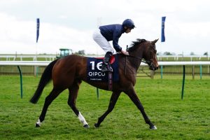 Templegate’s Epsom Oaks 1-2-3 prediction and ‘class act’ tip who can end ten-year spell