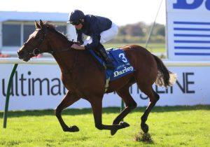 Five horses who will love soft ground at Newmarket with rain forecast for Guineas weekend