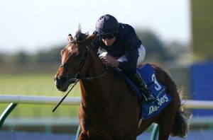 Coolmore release new City Of Troy footage after Derby fav suffers worrying market drift