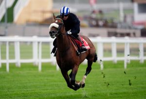 My massive 25-1 Derby NAP is fancied to come home strong and spring a shock at Epsom