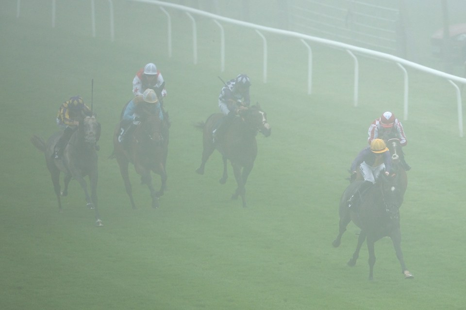 Winning jockey admits ‘we couldn’t see anything’ as ‘grisly’ thick fog descends rapidly at Brighton