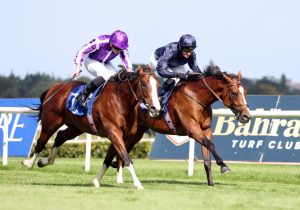 Aidan O’Brien takes £2.5million horse out of the Derby as Epsom field is cut down to 19