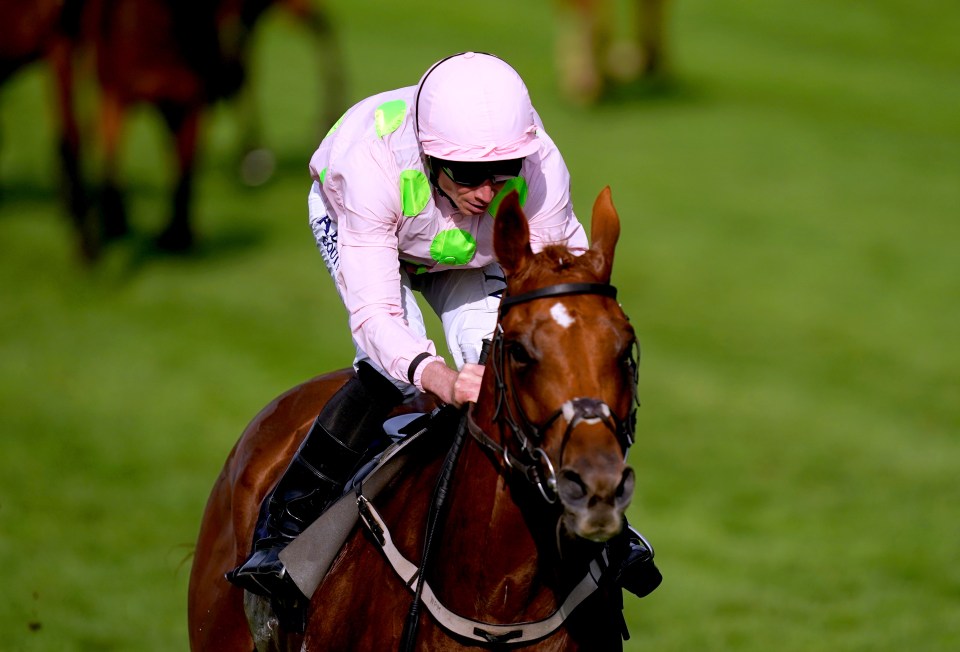 Willie Mullins plotting ‘absolutely huge’ Royal Ascot with 8-1 superstar horse in ‘very good nick’