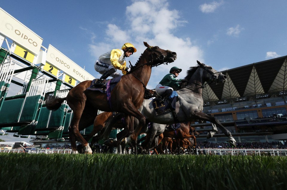 BBC breaks 47-year tradition of daily horse racing tips after disastrous run of results