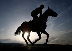 Massive barn fire kills more than 20 mares and foals as terrible tragedy leaves racing ‘heartbroken’