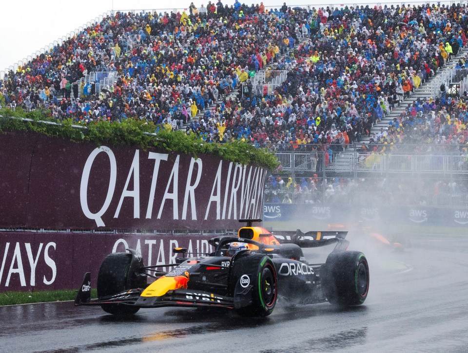 Red Bull driver Max Verstappen nearly ‘killed ANIMAL’ during Canadian Grand Prix