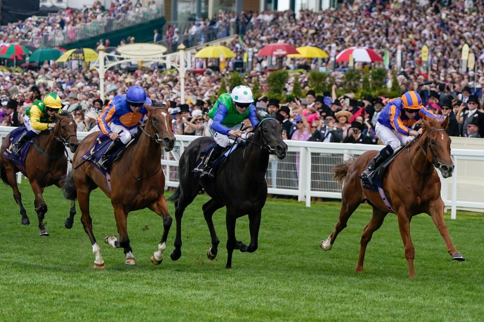 Punter pockets £200,000 profit from enormous £100,000 Royal Ascot bet on horse that looked beaten