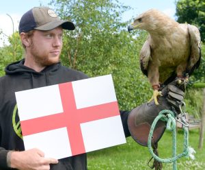 Honey the psychic eagle delivers verdict on England v Slovakia Euro 2024 showdown