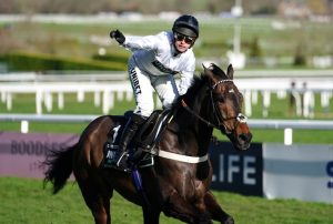 ‘He’s back’ declares Nicky Henderson as Constitution Hill dazzles in work following life-threatening illness