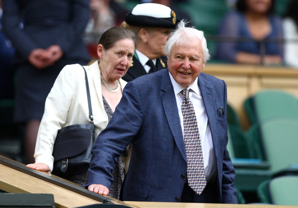 Watch brilliant moment Wimbledon crowd rises and applauds TV legend Sir David Attenborough, 98, on centre court