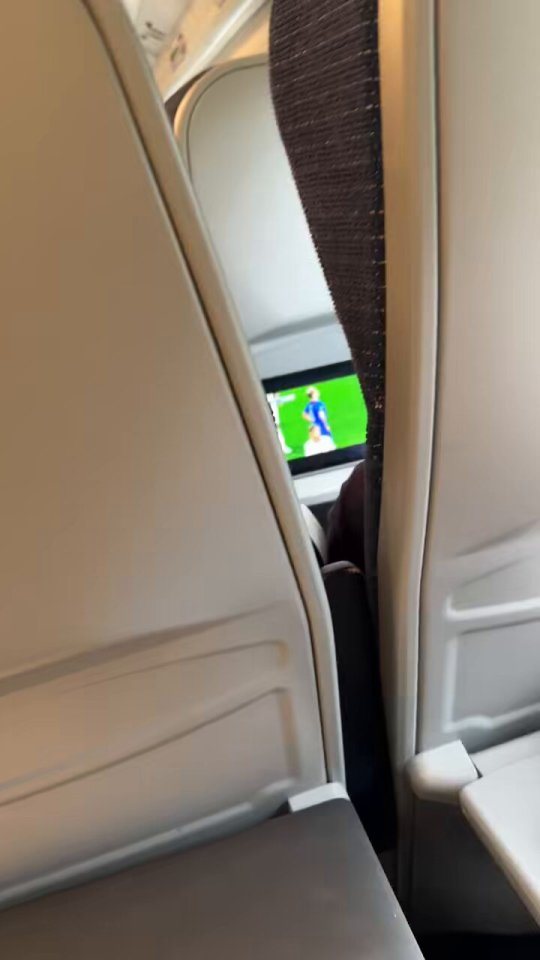 Train passenger appears to accidentally watch stream of someone playing England vs Slovakia on Fifa instead of real game