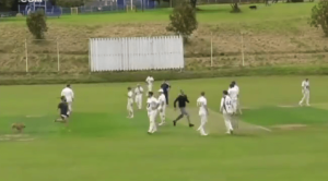 Watch as fans invade cricket pitch with bat and ball to fight as dog chases pair round in front of bewildered players